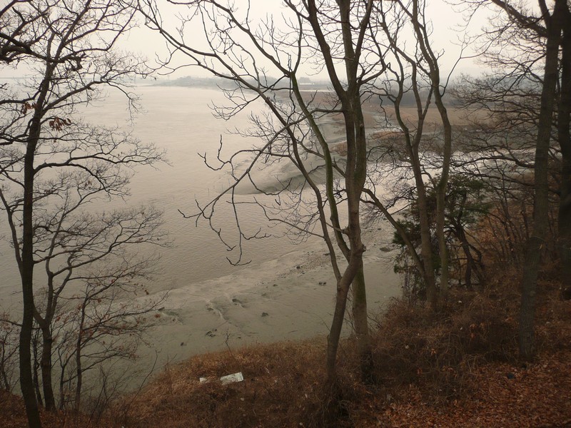 P1020960.jpg