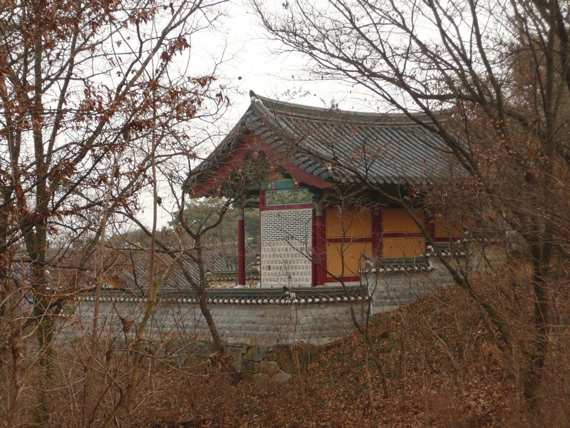 P1020889.jpg