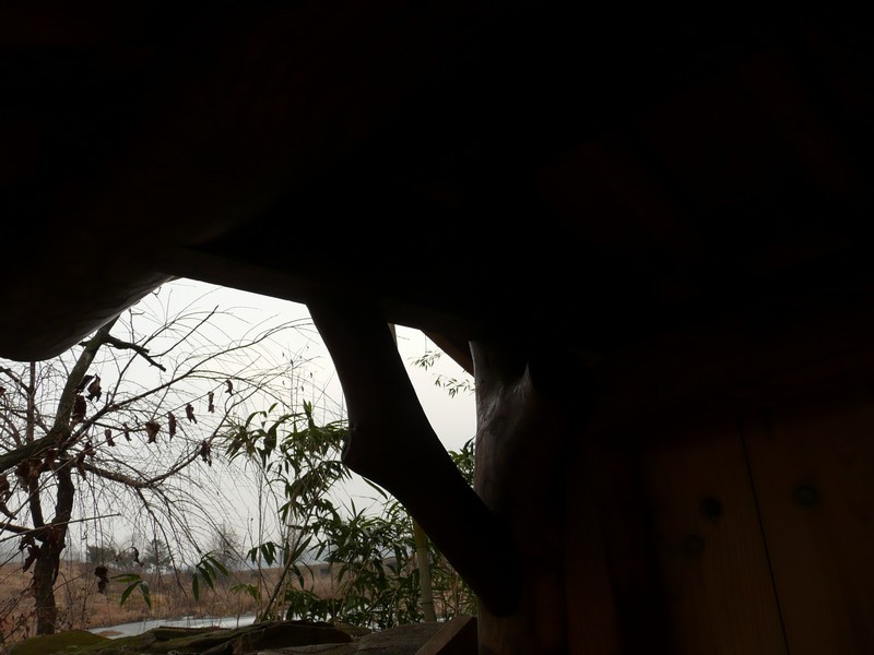 P1020884.jpg
