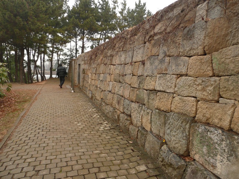 P1020958.jpg