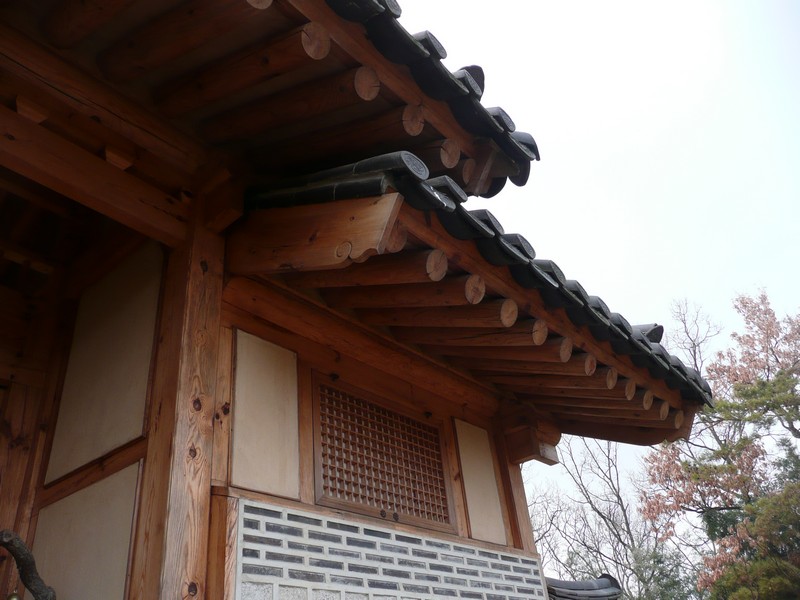 P1020938.jpg