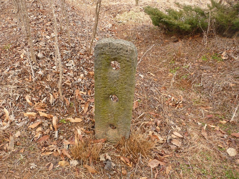P1020886.jpg