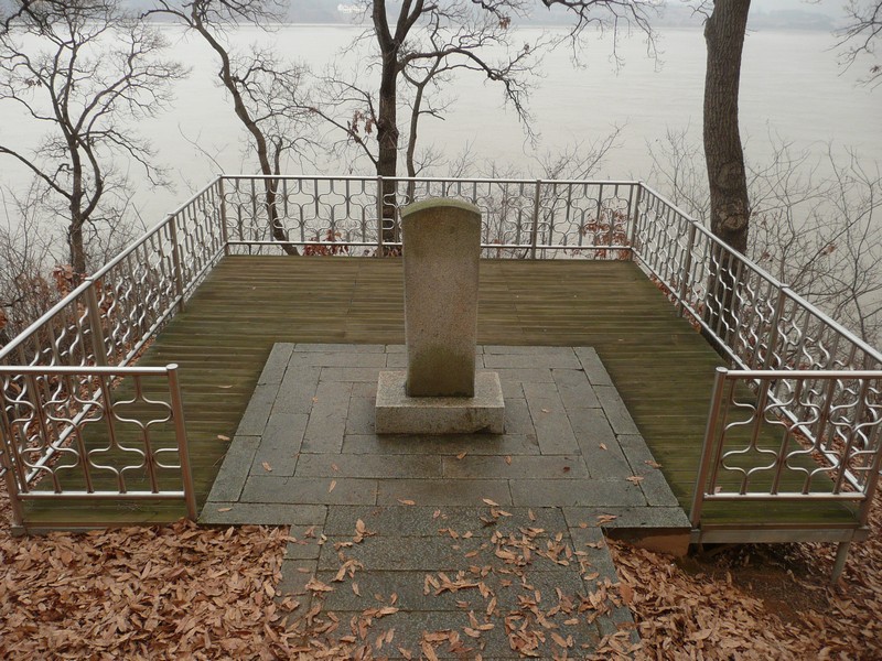 P1020963.jpg
