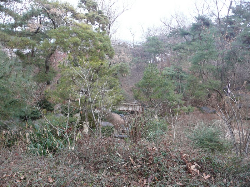 P1020932.jpg