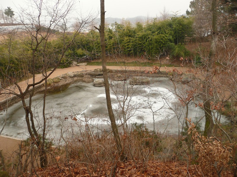 P1020944.jpg