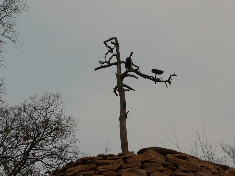 P1020866.jpg