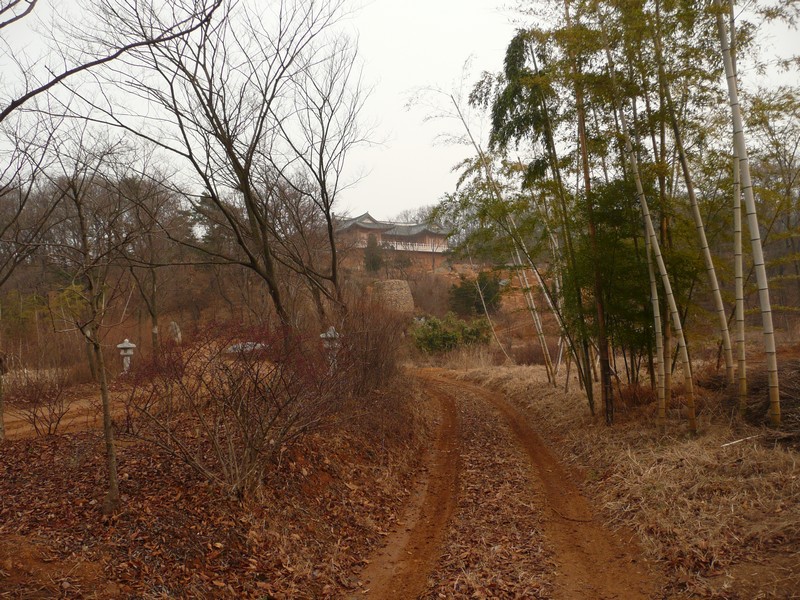 P1020862.jpg