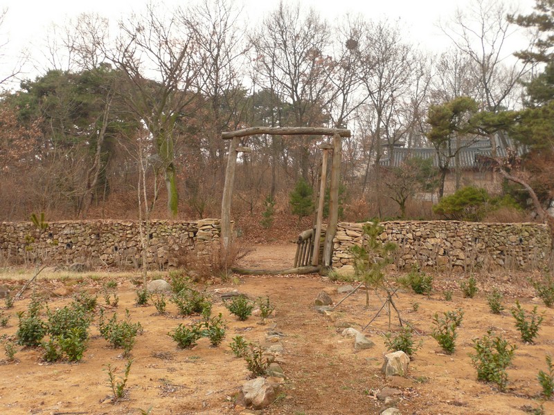 P1020954.jpg