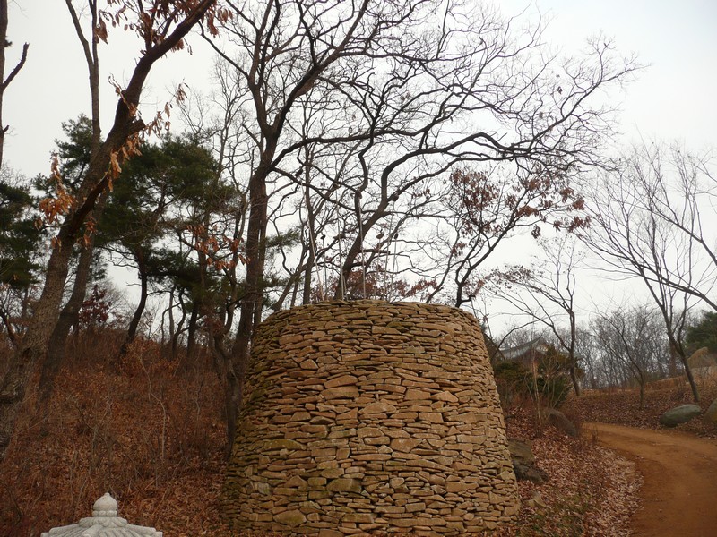P1020874.jpg