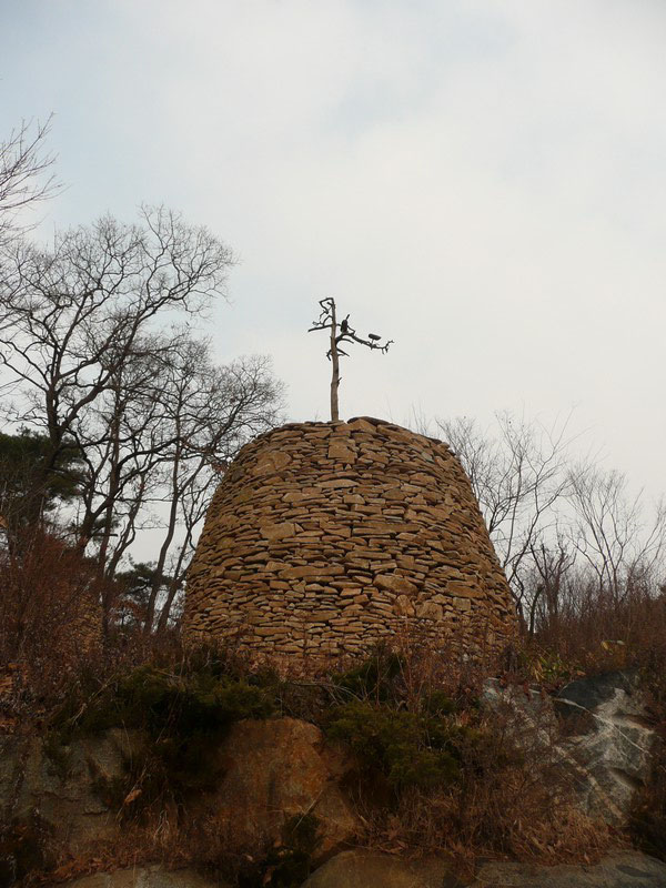 P1020864.jpg