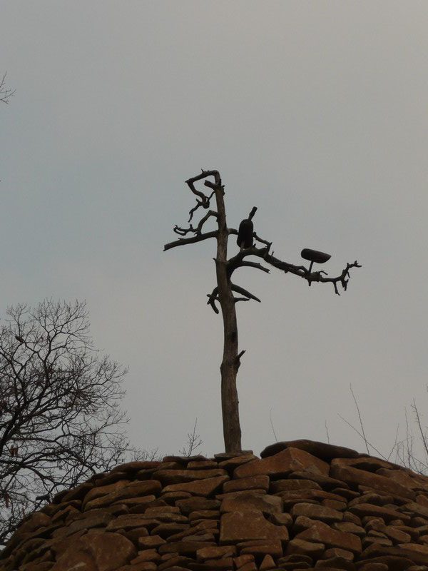 P1020865.jpg