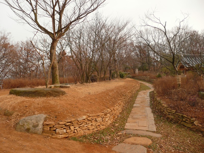 P1020877.jpg