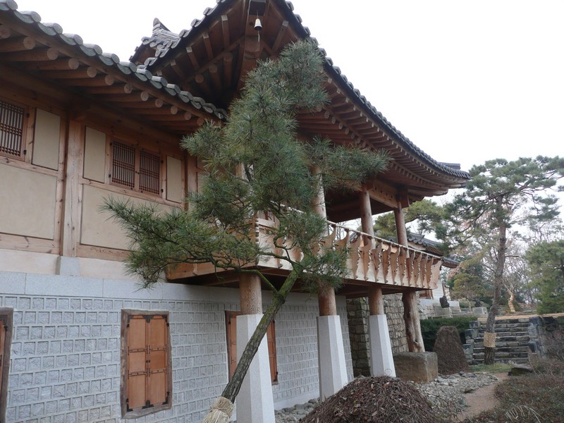 P1020928.jpg