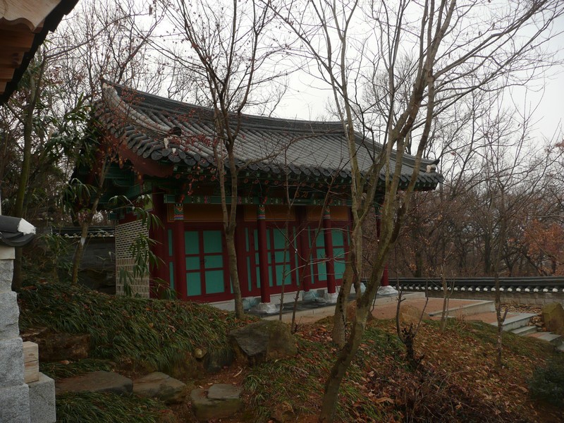 P1020896.jpg