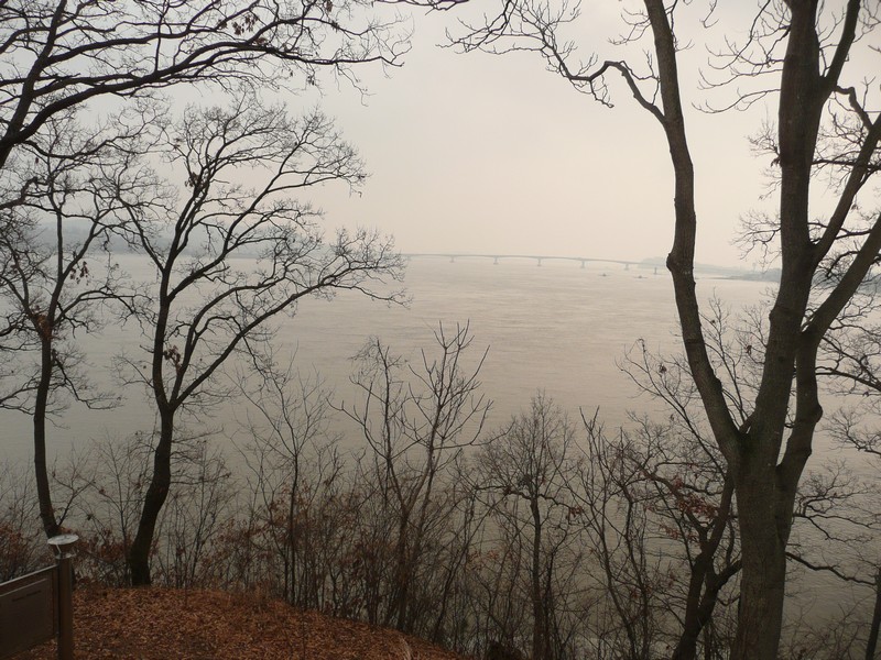 P1020961.jpg