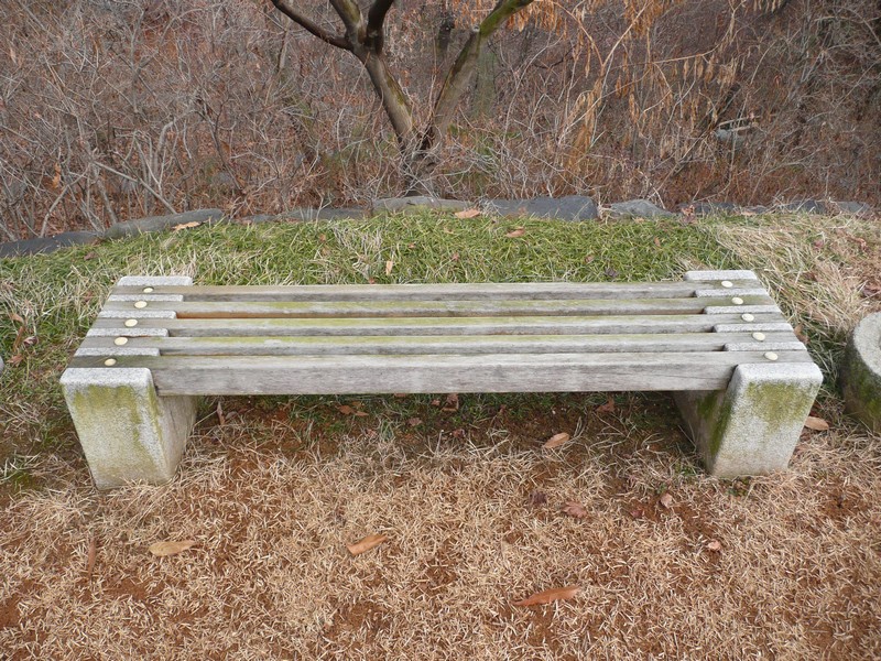 P1020941.jpg