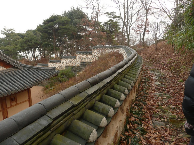 P1020904.jpg