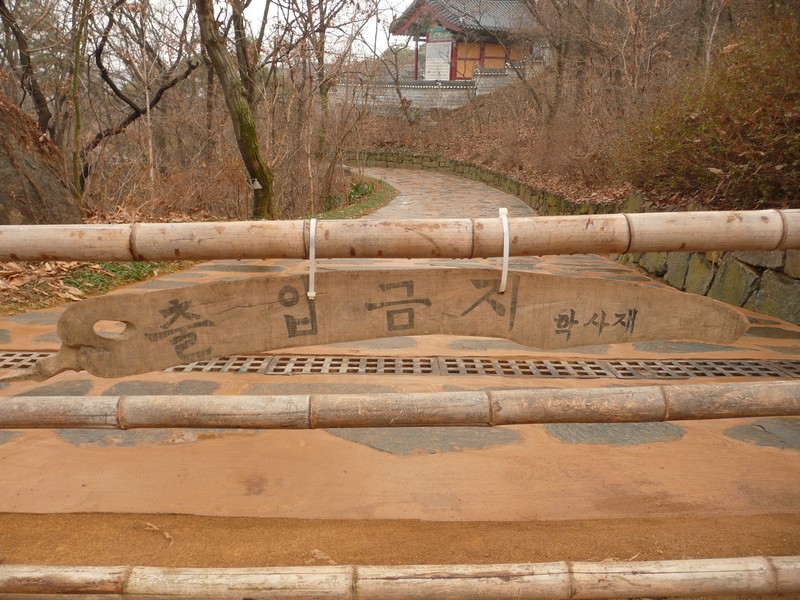 P1020888.jpg