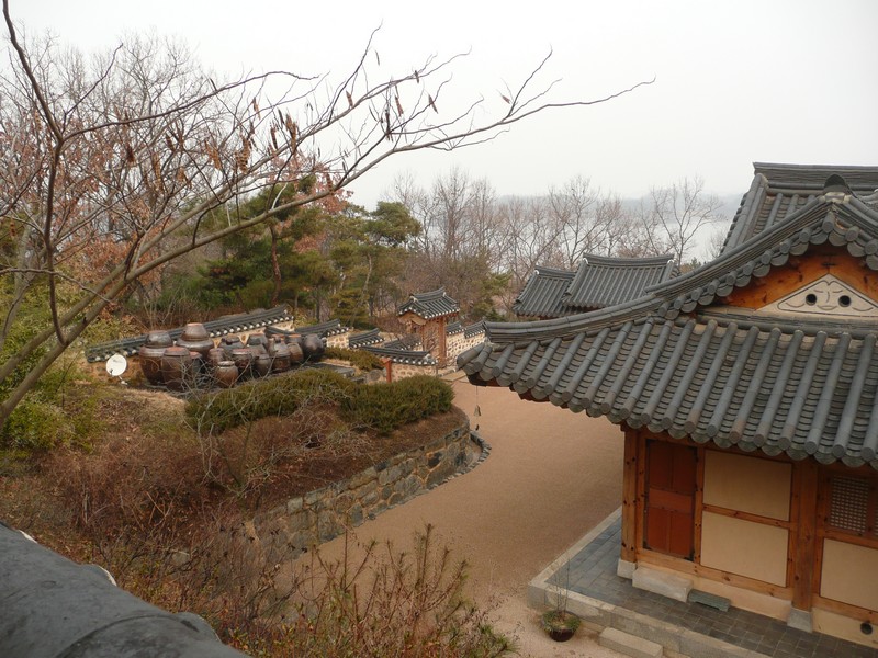 P1020899.jpg