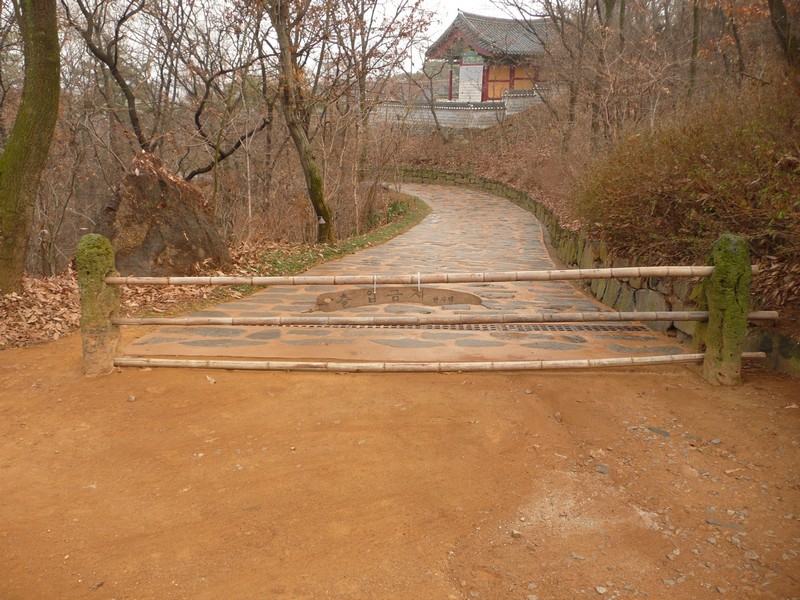 P1020887.jpg