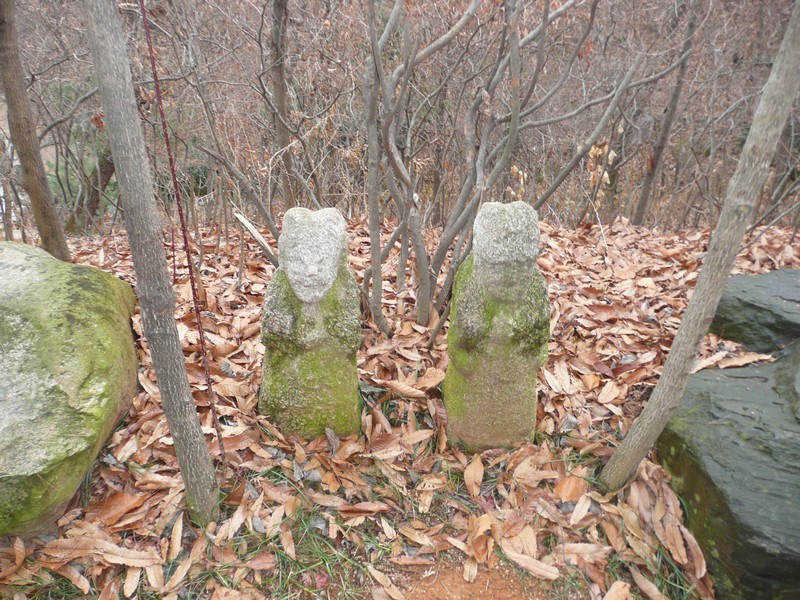 P1020947.jpg