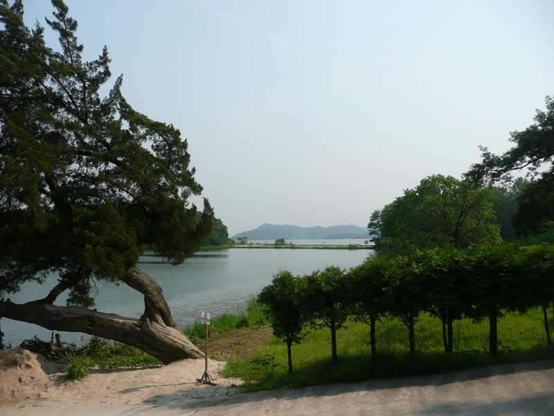 P1030104.jpg