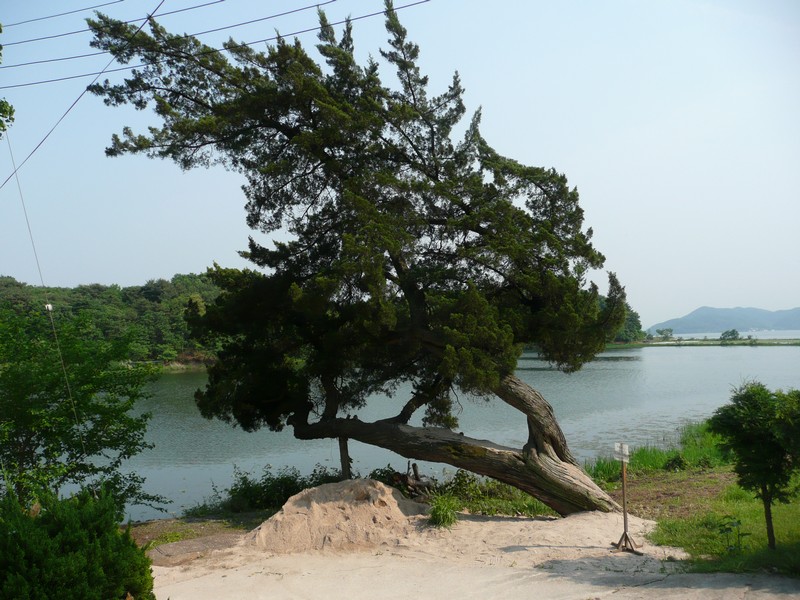 P1030103.jpg