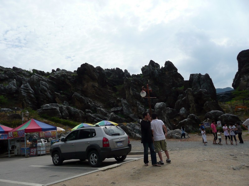 P1030203.jpg