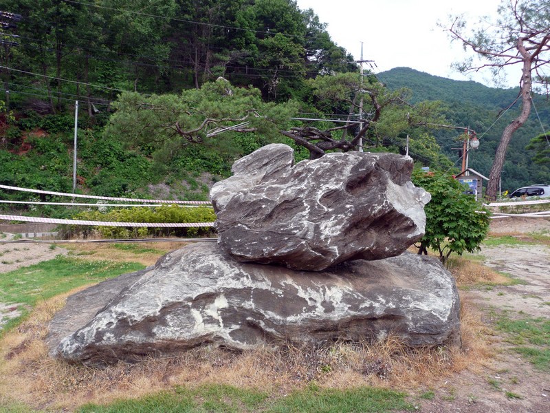 P1030211.jpg