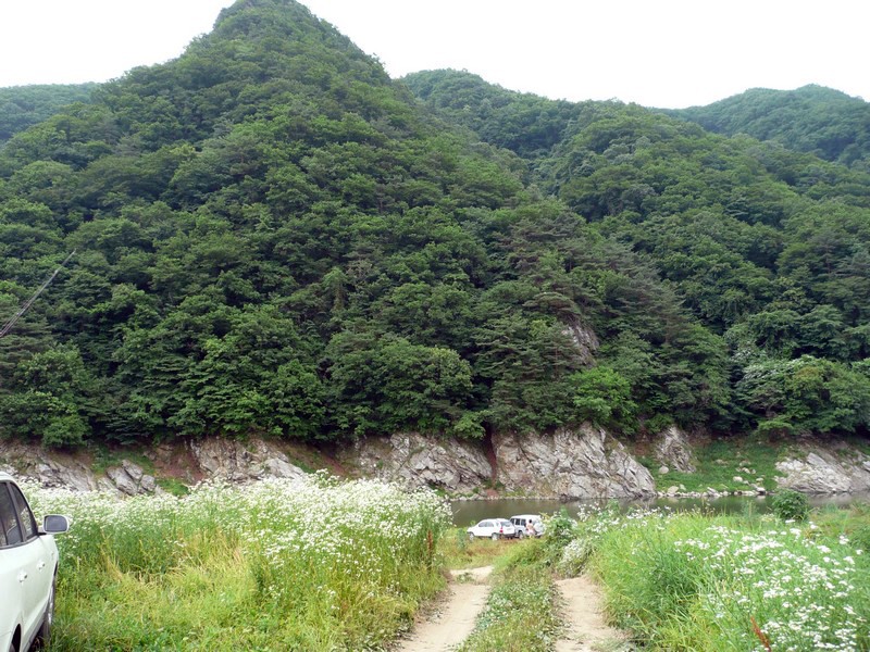 P1030215.jpg