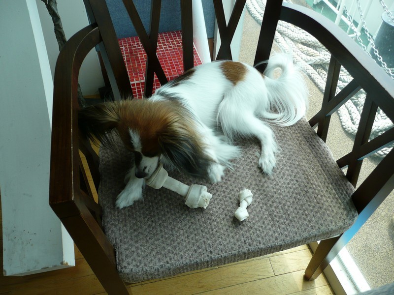 P1030177.jpg