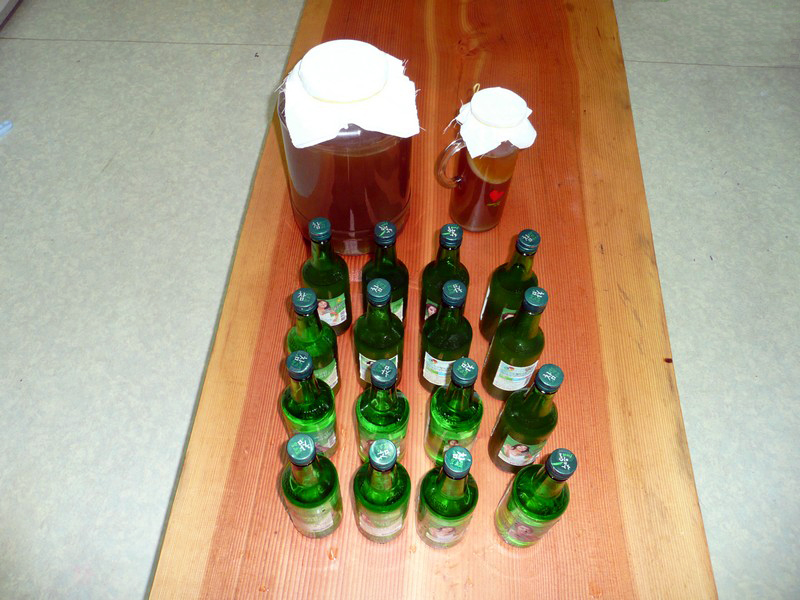 P1030245.jpg