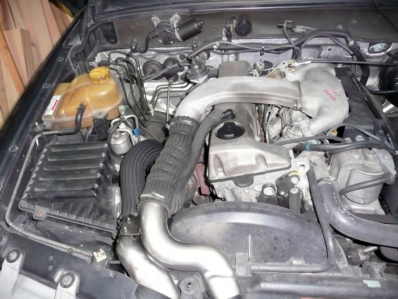 P1030275.jpg