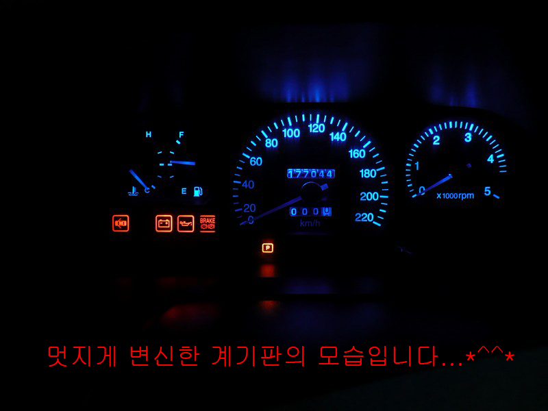P1030380.jpg