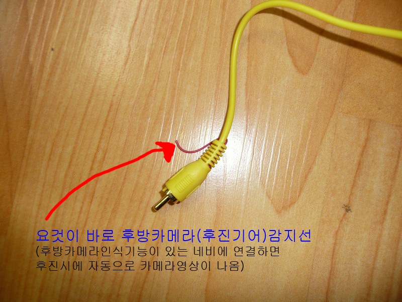 P1030405.jpg