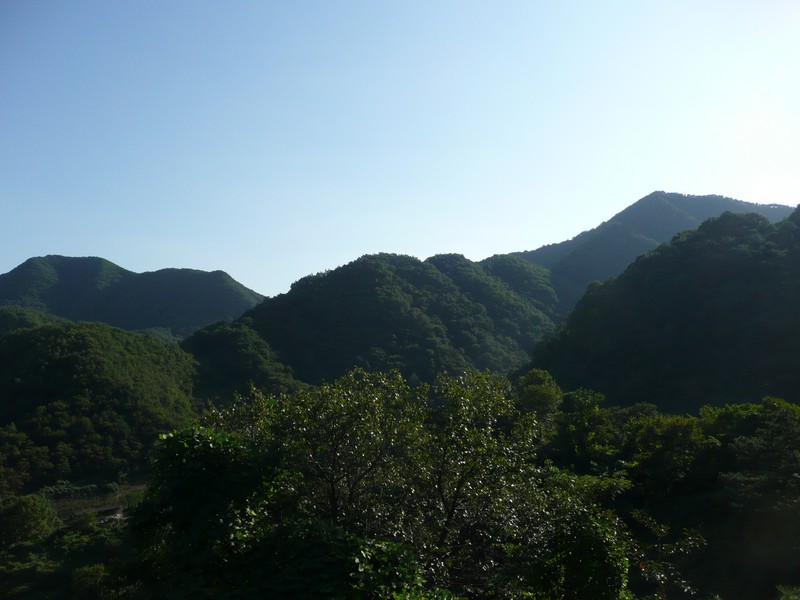 2009-09-19-121.jpg