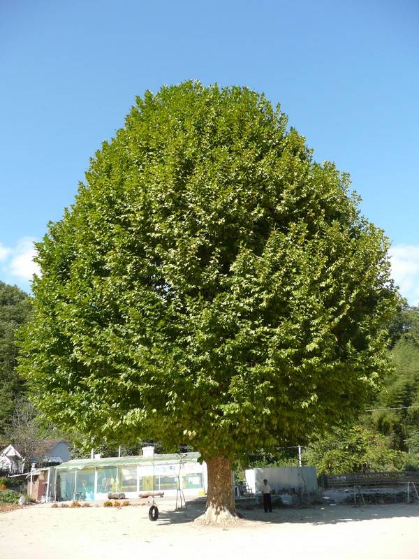 2009-09-19-073.jpg