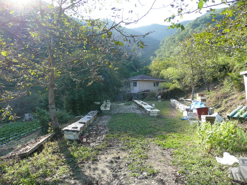 2009-09-19-116.jpg