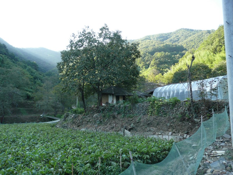 2009-09-19-111.jpg
