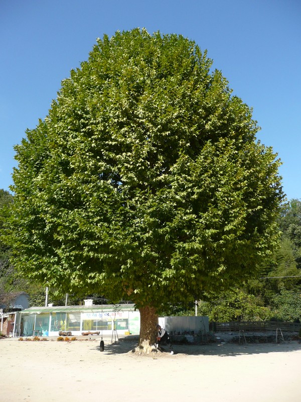 2009-09-19-080.jpg
