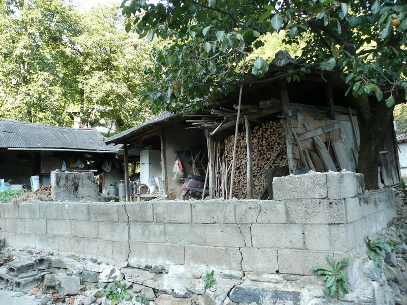 2009-09-19-110.jpg