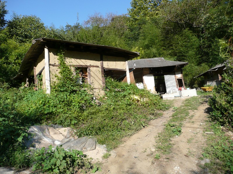 2009-09-19-117.jpg