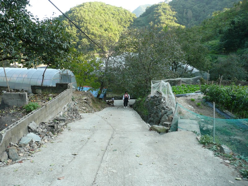 2009-09-19-115.jpg