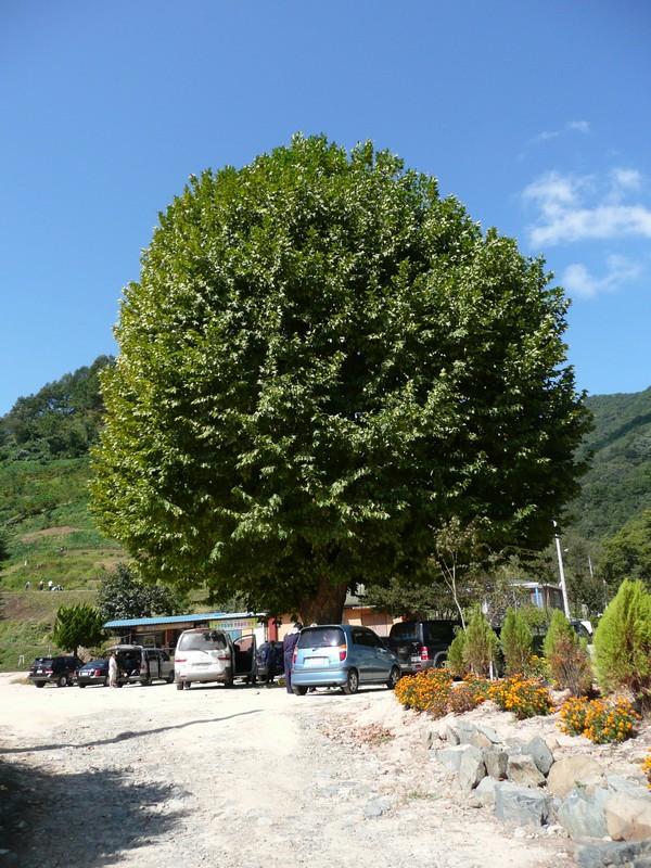 2009-09-19-003.jpg