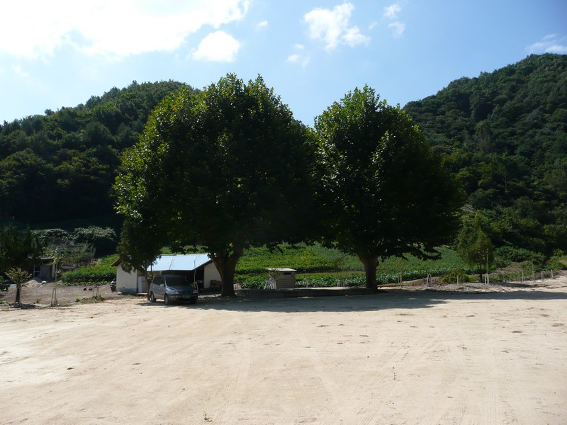 2009-09-19-004.jpg
