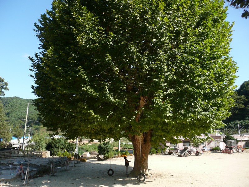 2009-09-19-055.jpg