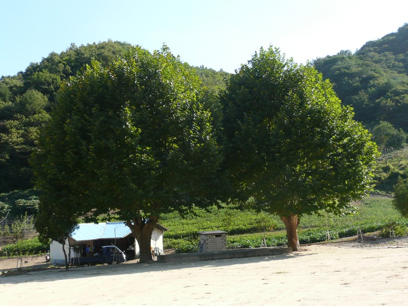 2009-09-19-074.jpg