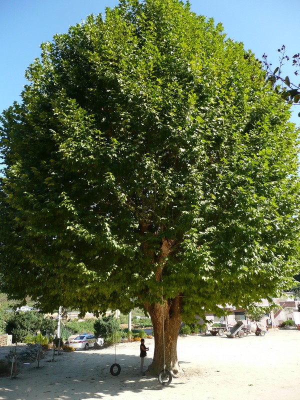 2009-09-19-054.jpg