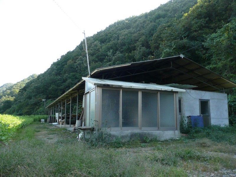 2009-09-19-035.jpg