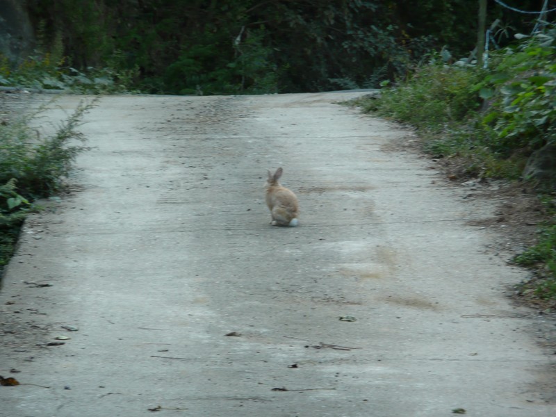 2009-09-19-108.jpg